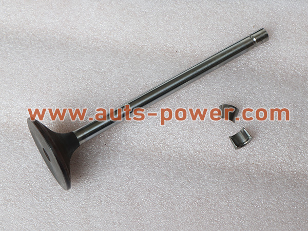 الكمون 3804866 QST30 Intake Valve Kit