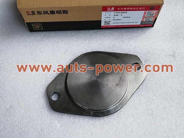 Cummins 3914868 Cover Plate